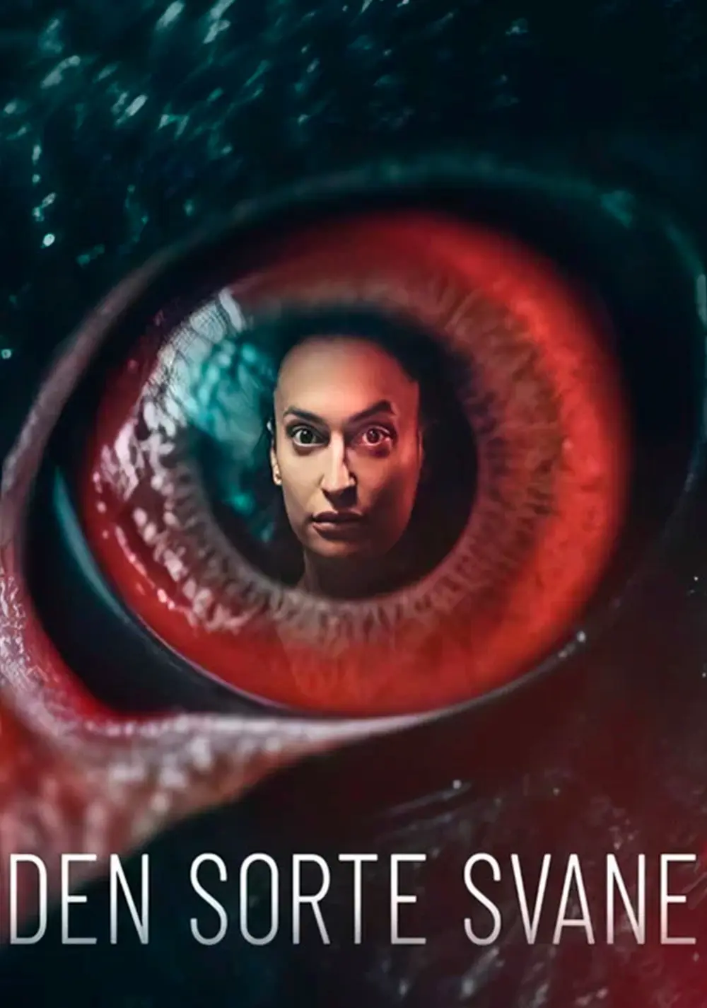Plakat for Den Sorte Svane · 1. sæson